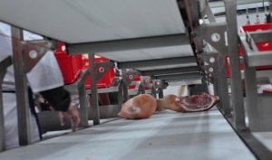 Equipamentos para Indústria de carnes - Tecnologia Produtiva